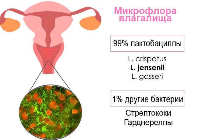 Как Делают Спринцевание Пошагово Фото