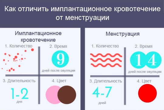 Имплантация или месячные?