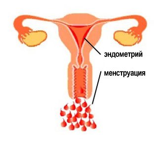 Менструация во время беременности 5 неделя thumbnail