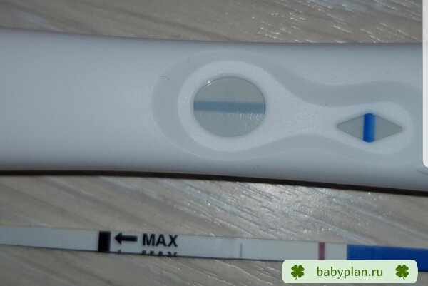 Тесты на беременность. Задержка 4 дня