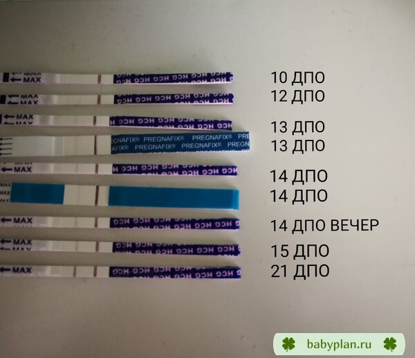 Китайские тесты в динамике