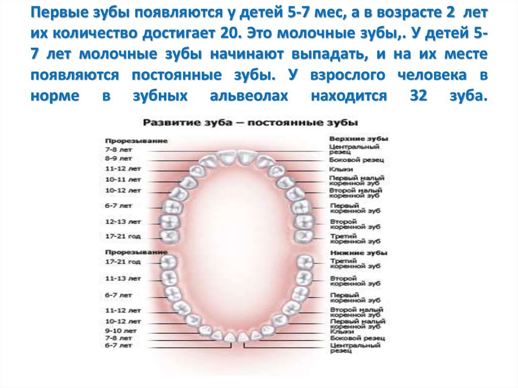 Сколько лет сверху. Сколько лет сверху