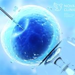 Что такое посттрансферный период. Смотреть фото Что такое посттрансферный период. Смотреть картинку Что такое посттрансферный период. Картинка про Что такое посттрансферный период. Фото Что такое посттрансферный период