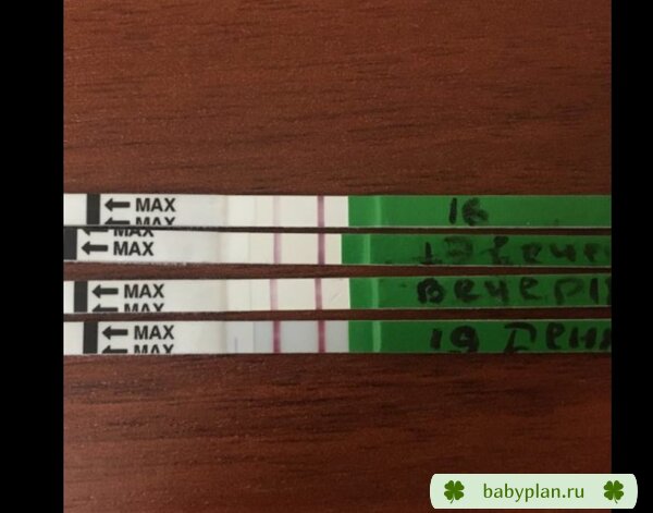 19дц, сегодня же О?