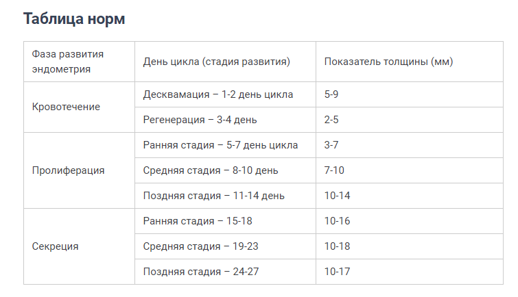 Норма эндометрия в мм