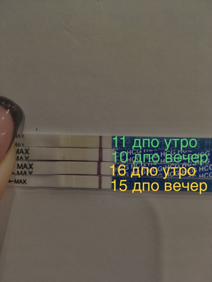 После овуляции запахи. 10-11 ДПО тест. 11 ДПО тест. Положительный тест на беременность после овуляции. 12 День после овуляции.