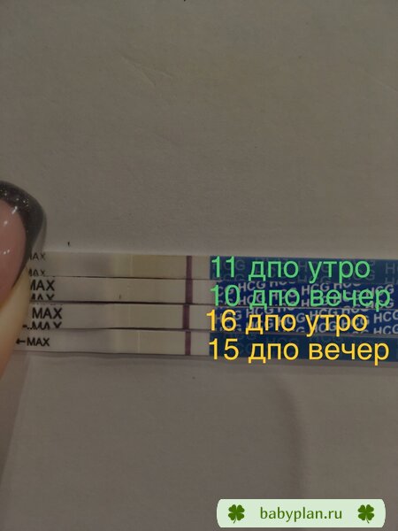 Тест