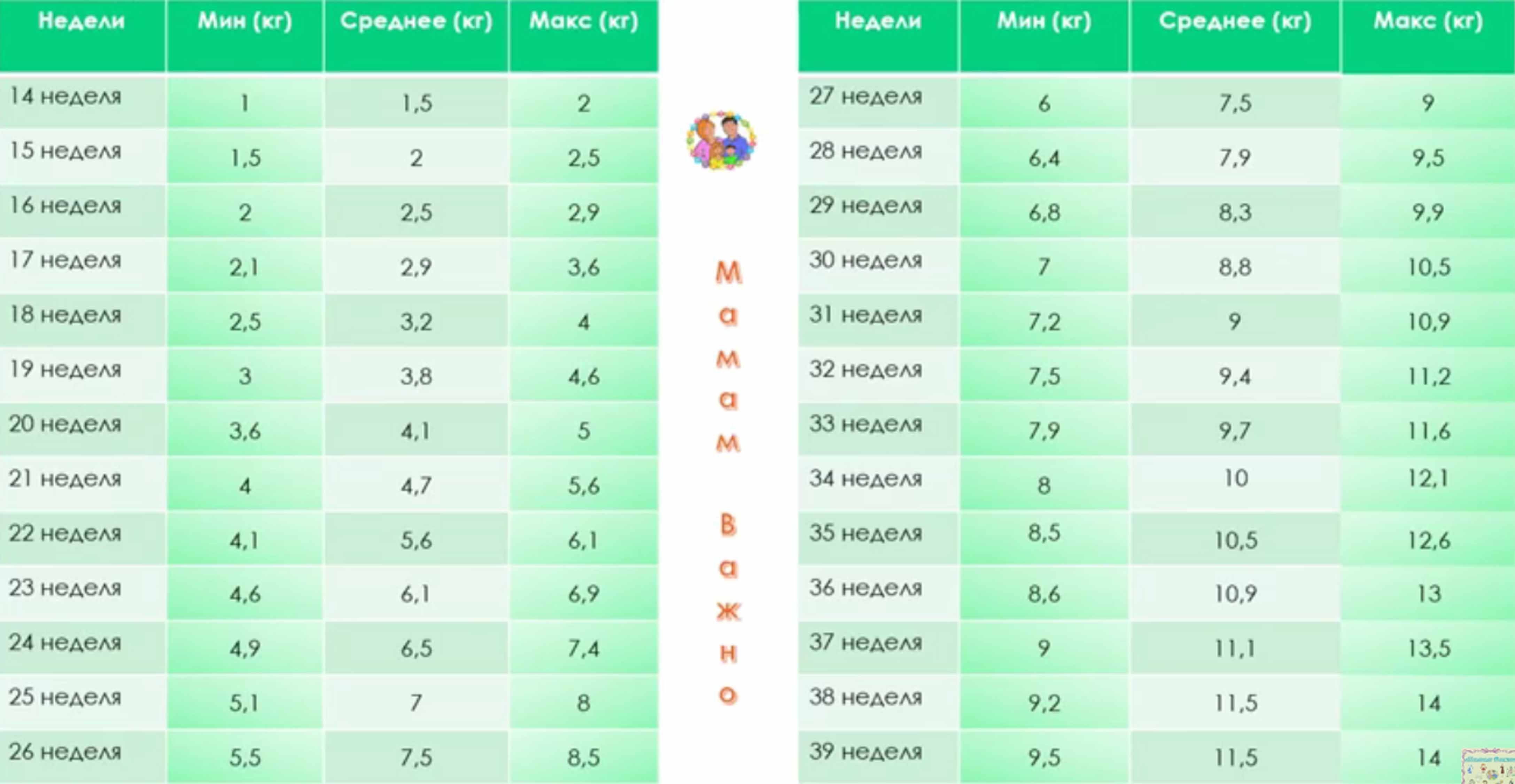 37 недель в месяцах. 36 Недель прибавка в весе норма. Норма набора веса на 36 неделе. Норма набора веса 37 недель. Прибавка в весе по неделям беременности таблица.