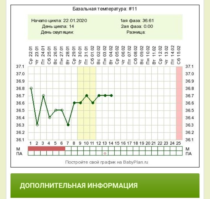 Какая базальная температура после