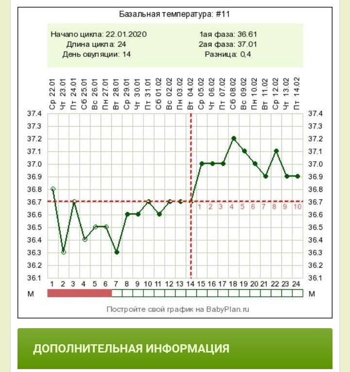 Календарь овуляции 2023