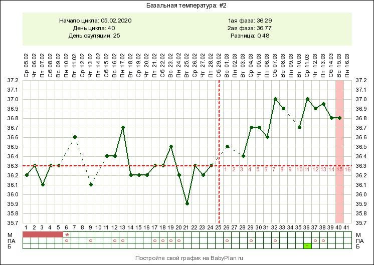 Базальная температура у женщин