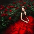 Scarlet flower