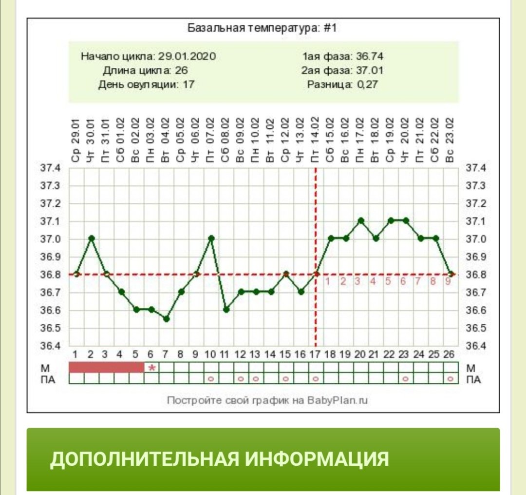 Нету овуляции