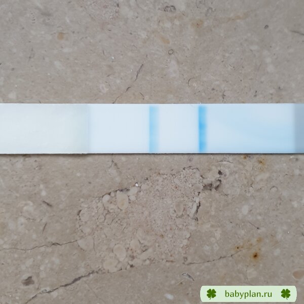 ClearBlu, 11 ДПО