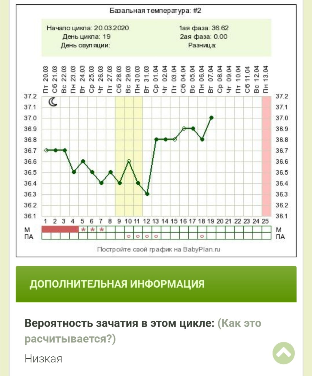 Фазы базальной температуры