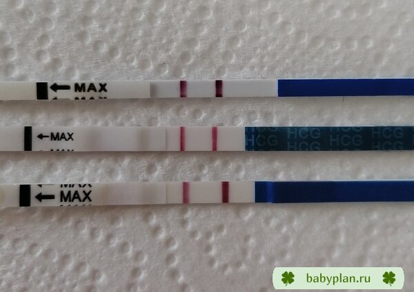 Положительные тесты на беременность