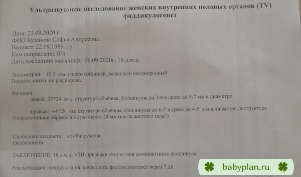 Фоликулогенез 18дц из 43дц