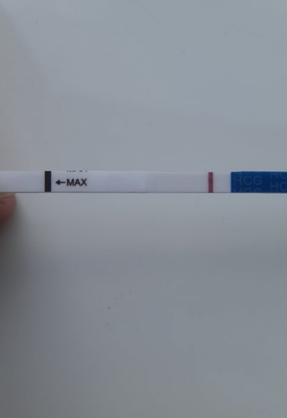20201004_171605.jpg