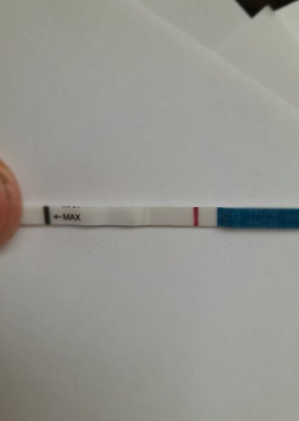 20201004_174430.jpg
