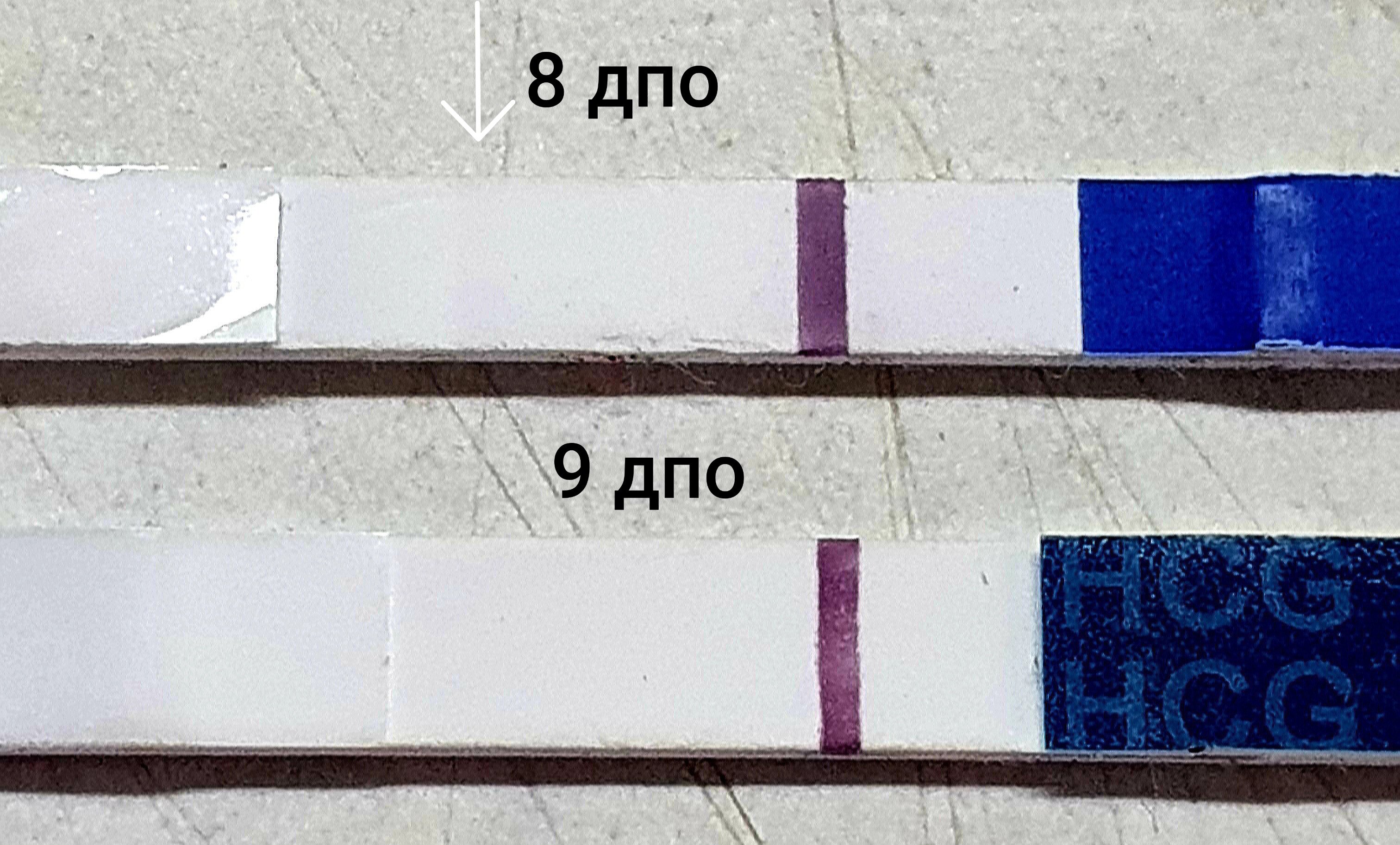 Тест на беременность на 5 день после овуляции