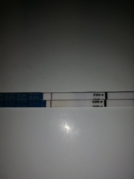 IMG_20201103_175327.jpg