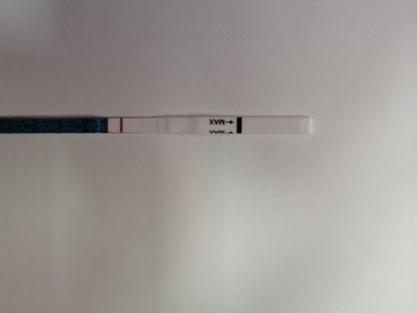 IMG_20201105_130307.jpg