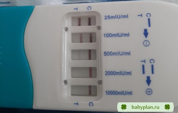 Положительный тест на беременность. 34 день цикла