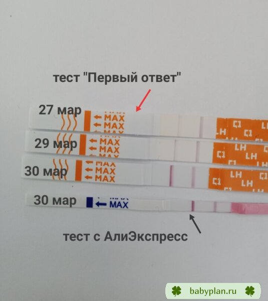 Тест с Али и Первый ответ