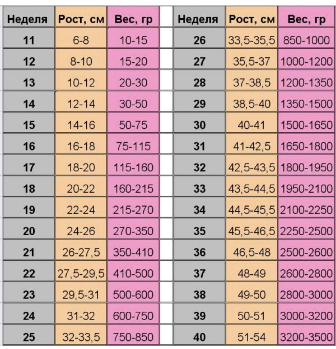33 недели беременности это сколько. Вес и рост плода по неделям беременности. Вес плода по неделям беременности таблица нормы. Вес ребёнка в 30 недель беременности норма таблица по неделям. Вес ребёнка на 28 неделе беременности норма по неделям таблица.