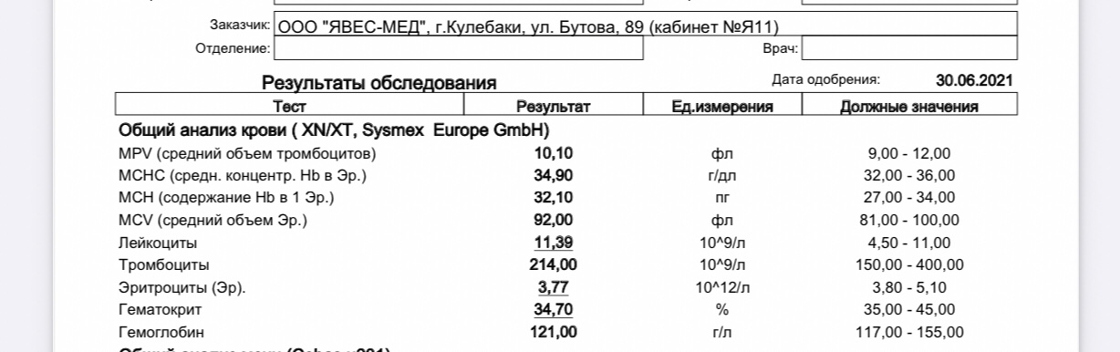 Лейкоциты в спермограмме