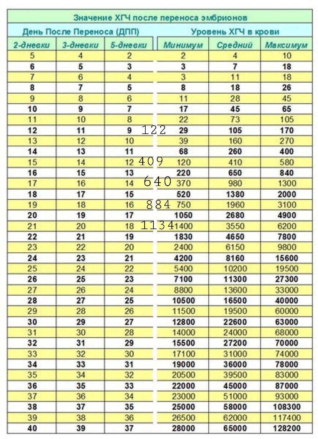 Сразу после эко. ХГЧ после переноса 5 дневного эмбриона. Таблица уровня ХГЧ после переноса эмбрионов. Норма ХГЧ после переноса эмбрионов 5 дневных. Таблица ХГЧ по дням после переноса 5 дневных эмбрионов крио.