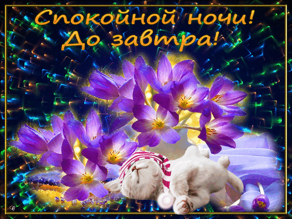 5294ccf63e75332365f88c774bcabde6.gif