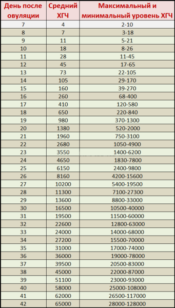 e487d9e0176b1765aca53596ba7b3600-full.png