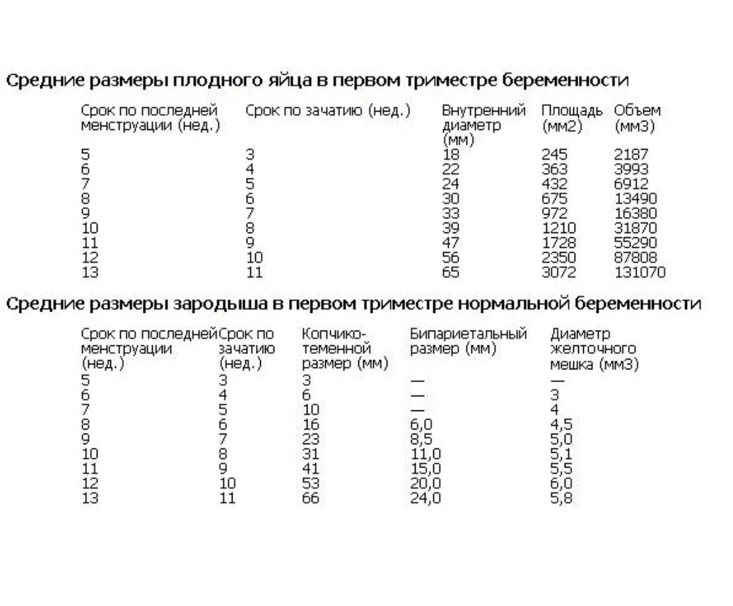 Размер плодного яйца по неделям беременности