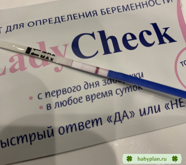 11 ДПО
