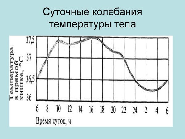 slide-39.jpg