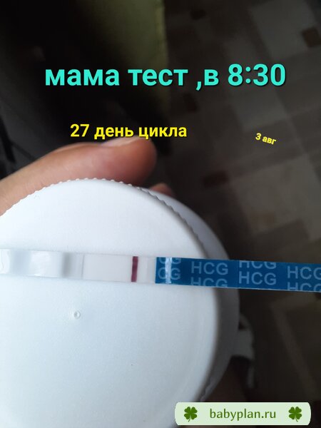 10-12 дпо