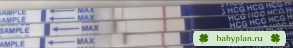 13 дпо