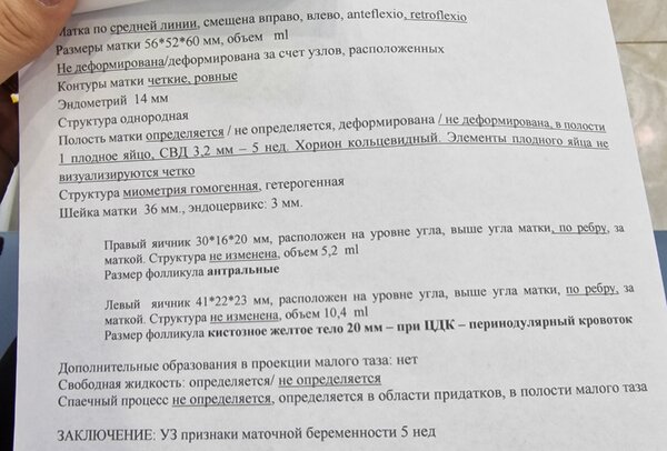 20230203_130051.jpg