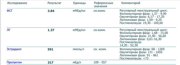 3AEAE8DF-BE2B-43E8-BACD-9DF942D49589.jpeg