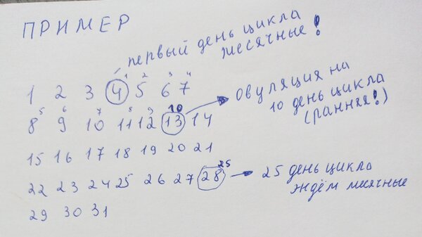 IMG_20230206_105827100~2.jpg