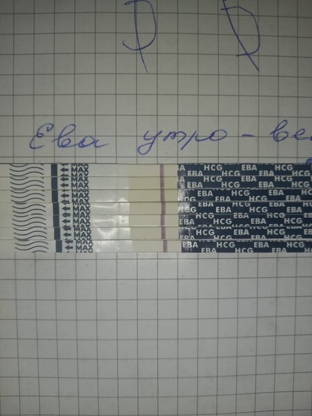 BC01BEF7-876A-4B1D-A119-5465D4F837EF.jpeg