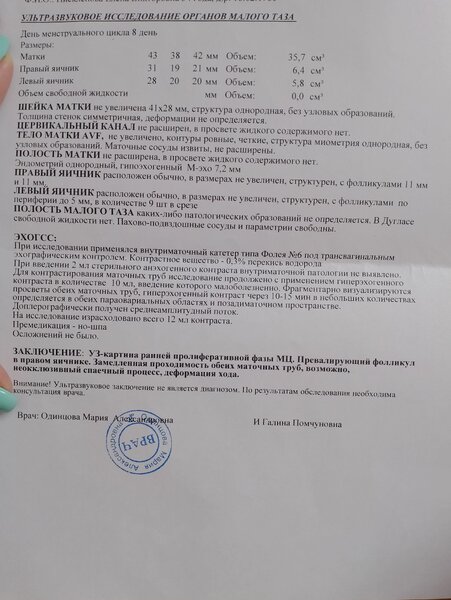 IMG_20230203_125004.jpg