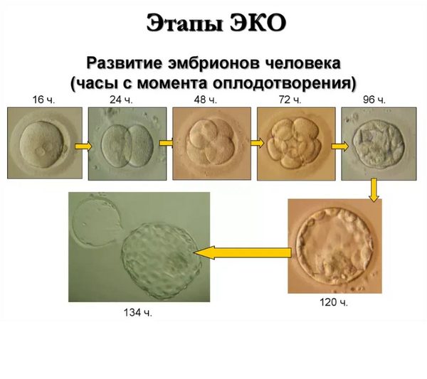 Screenshot_20230212-211804.png