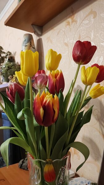 IMG-20230308-WA0009.jpeg