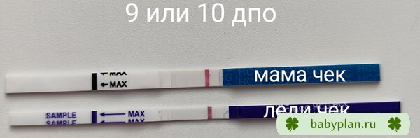 тесты