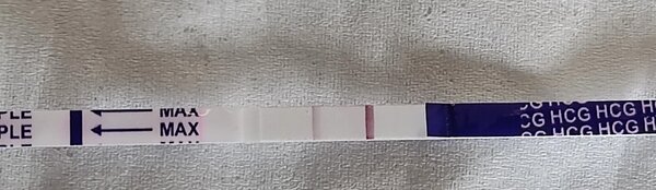 34324418_Brg7cu7c_LU2.thumb.jpg.32ddd8818301a2cda6913427a7a0a7f3.jpg