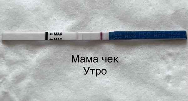 785C6837-2C2A-4EF5-BABE-743FCB9E24BF.jpeg
