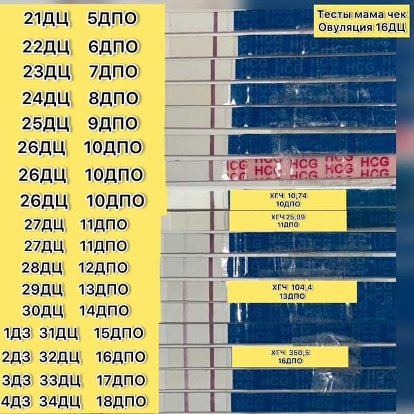 хгч 13 день после подсадки