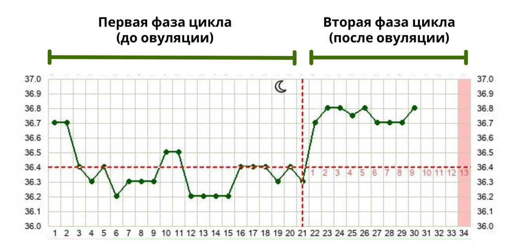 Пример графика с двумя фазами цикла